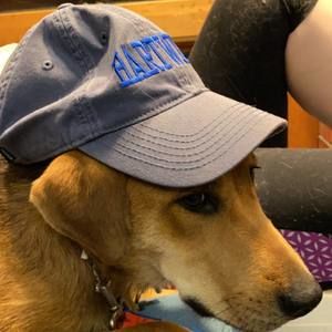 Meet your Posher, Nickelliot